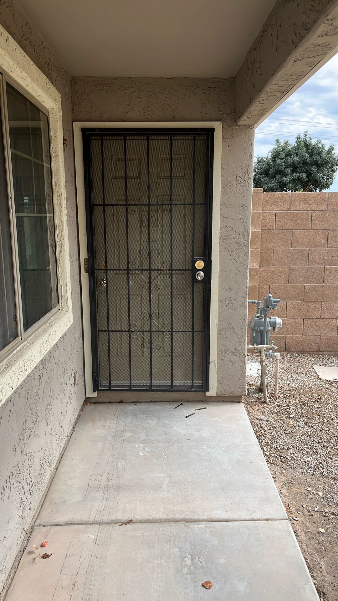 Security Door