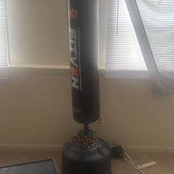 Stand Up Boxing Bag