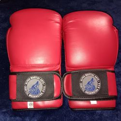 (King) Alpha Martial Arts Boxing Gloves