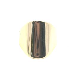 Woman’s Ladies 14k Yellow Gold Shield Ring Size 8 GP3105493