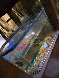 2 gallon fish tank