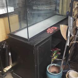 Fish Tank And Stand 65 Gal