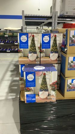 Gnome topiary $25