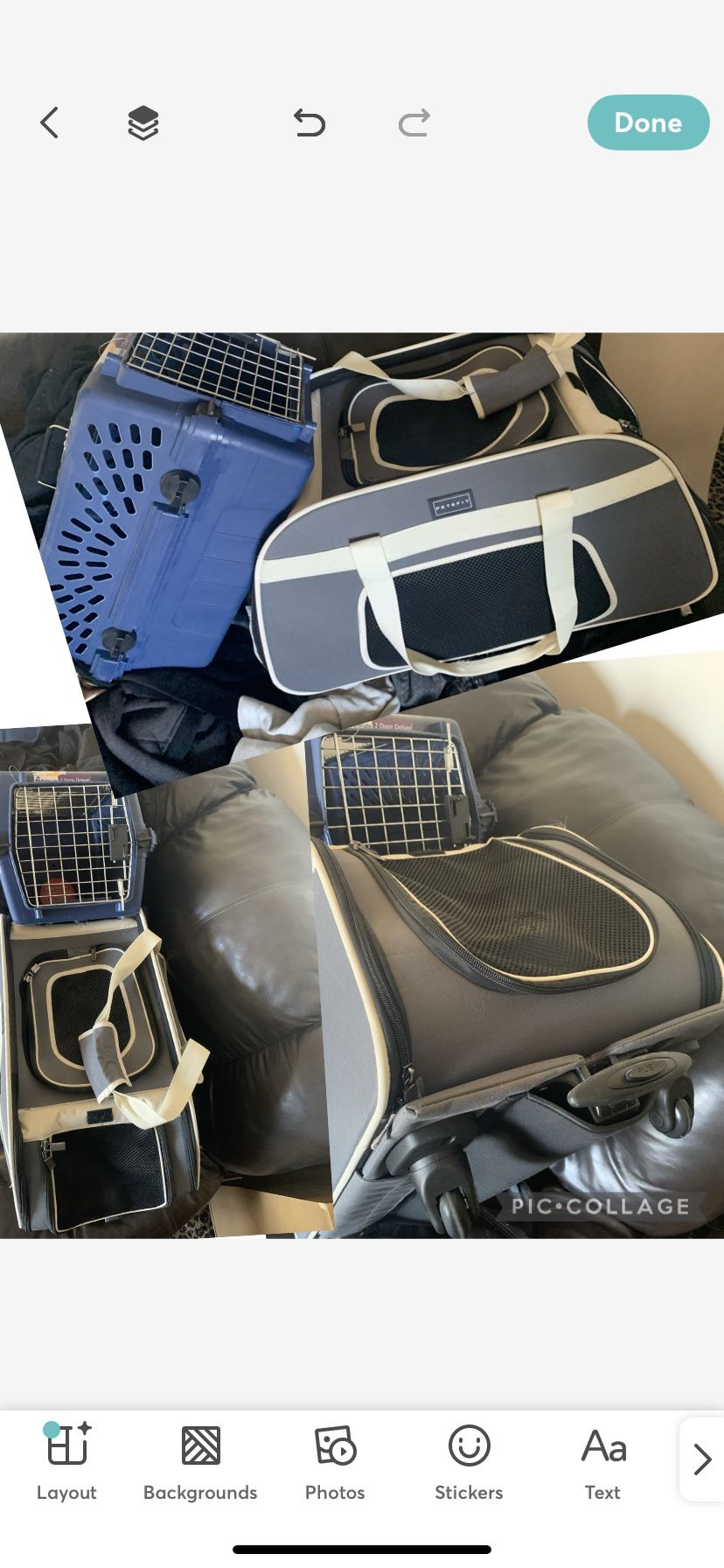 Pet crate Cat Luggage With Wheels