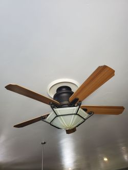 Ceiling Fan with Light