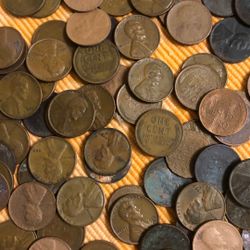 Lincoln Wheat Back Pennies All Ages Collection 