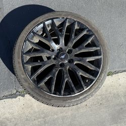 mustang rim
