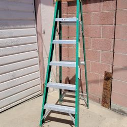 6 ft Ladder 