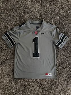 Mens Nike Ohio State OSU Buckeyes Grey Land of Wolves Unleashed Alternate Football Jersey Medium
