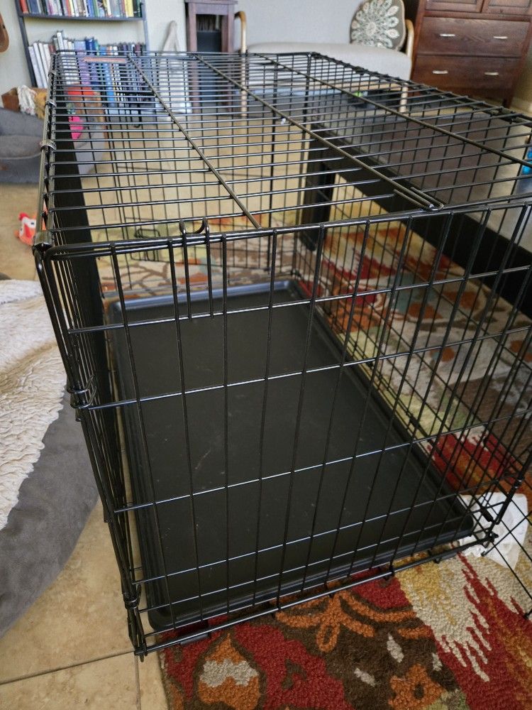 Dog Crate