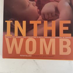 In The Womb Pregnancy Development Book 