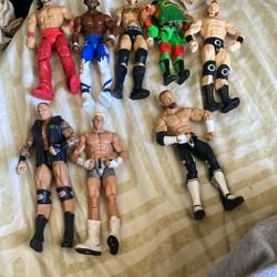 Wwe Action Figures