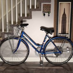 1970’s Schwinn Suburban Blue Dream Bicycle