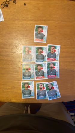 Algeria panini sticker team