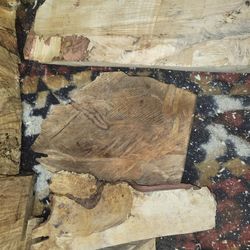 Birdseye Spalted, 3D, Figured Maple HARDWOID