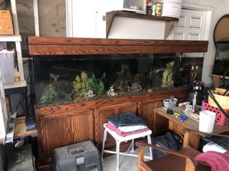 240 Gallon Fish Tank Aquarium Only!!!