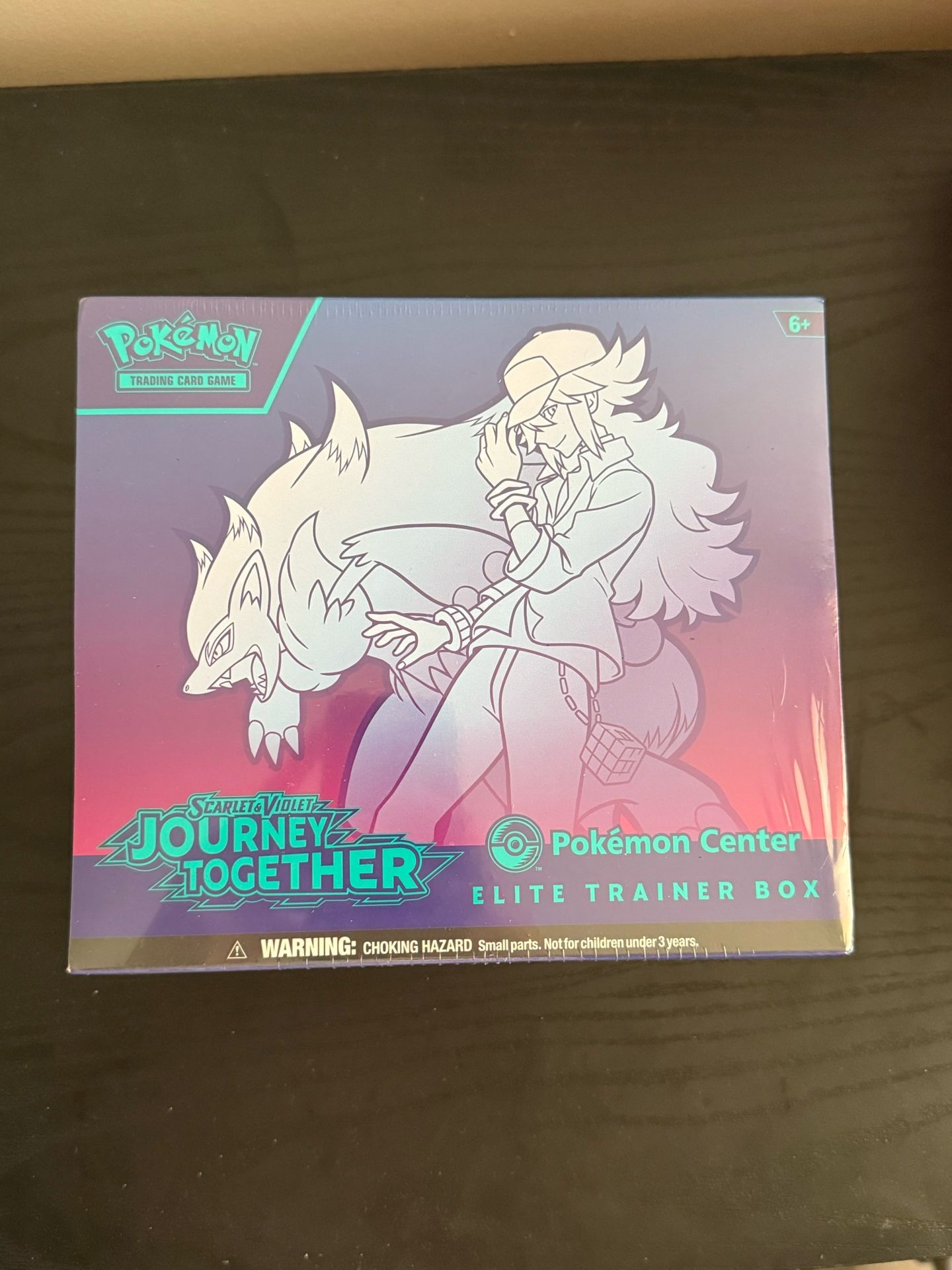 Pokemon Journey Together