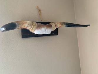 Bull Horns