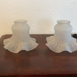  Glass Tulip Shaped Frosted Light Shades X2