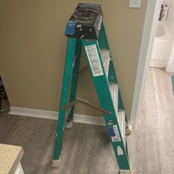 4ft Ladder 