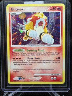 Entei (HOLO BLEED ERROR) secret wonders