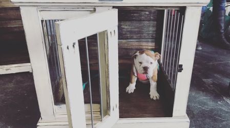 Dog Kennel Furniture 