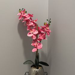 Pink Orchid Plant In Silver Vase