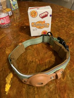 NEW！AirTag Dog Collar Green, Medium Size