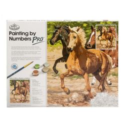 PAINT BY NUMBER - GALLOPING HORSES

