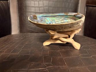 🔥🔥🤫Abalone Shell 🐚on Driftwood Stand