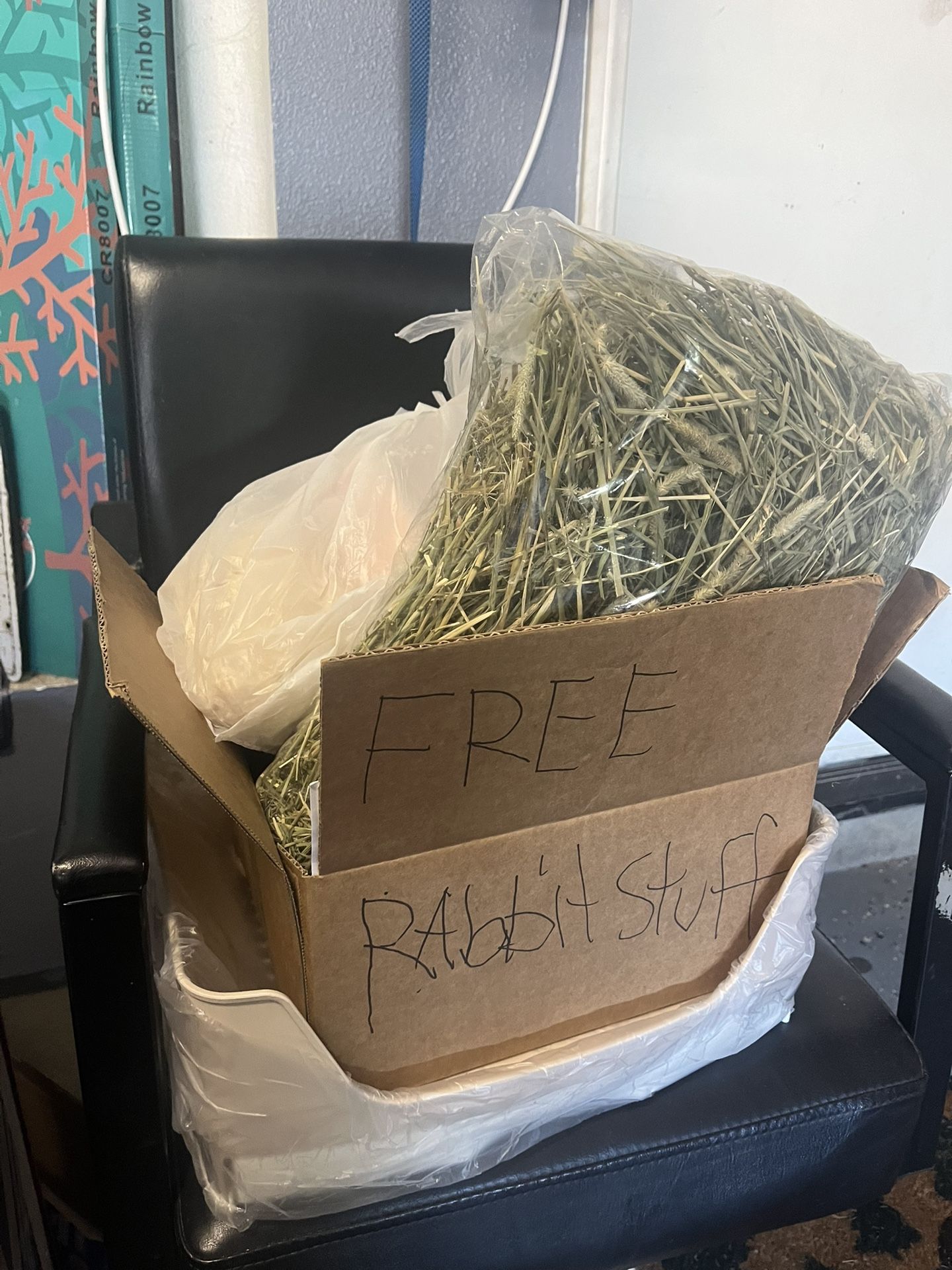 Free Rabbit Stuff