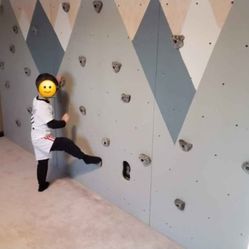 *HALF PRICE IF TAKEN BEFORE 1/18* 
Rock wall panels (3), with 60 hand holds / grips