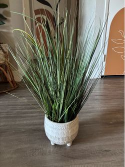 Fake Plant