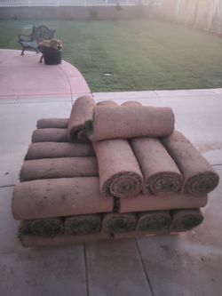 Fresh sod