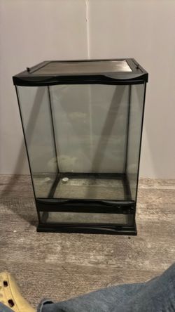 Frog enclosure