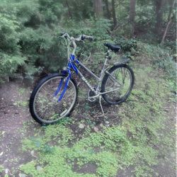 Giant Bike No Issues At All