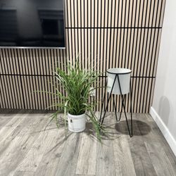 Planter 