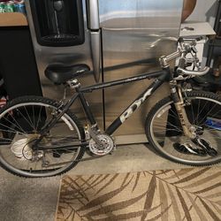 Dynamic Research Bike