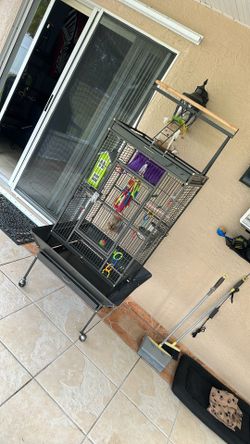 Parrot Cage