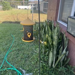 Bird Feeder With Stand