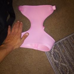 Harness In Dog Holder