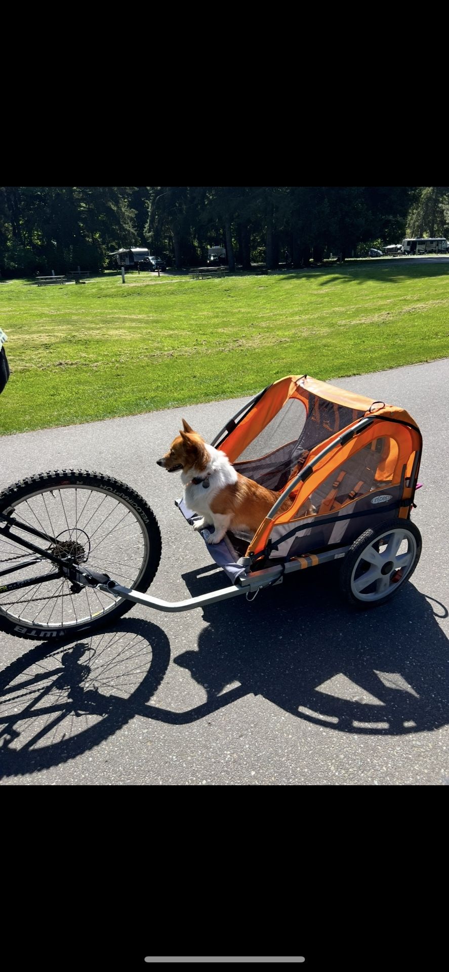 Dog Cart For Bike, All Hardware. Good Cond