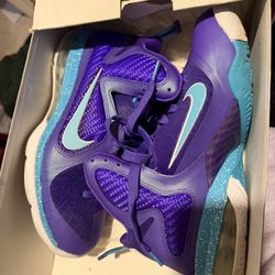LeBron summit Lake Hornets 
