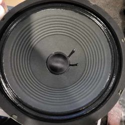 True Sound: Mojo Tone 12” Speaker 