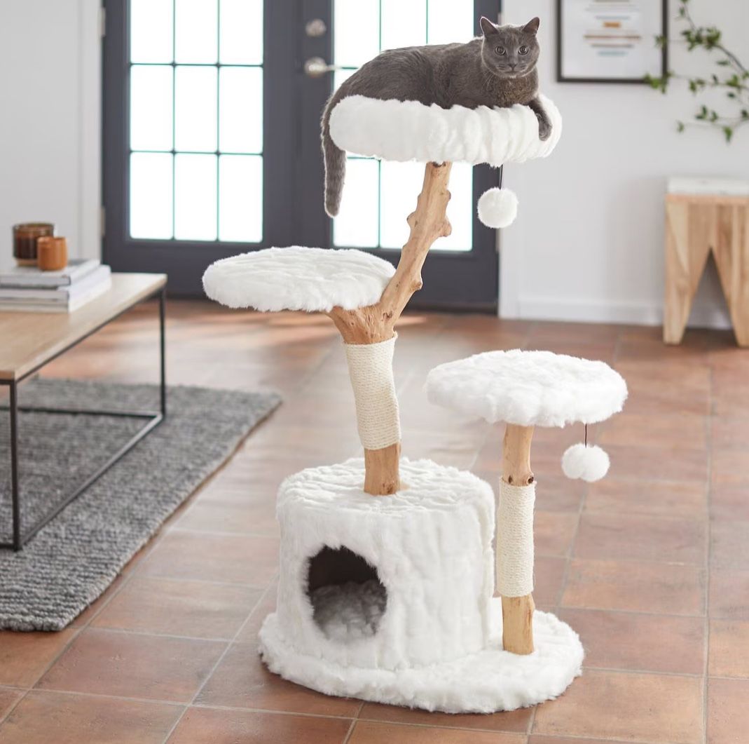 New Cat Tree