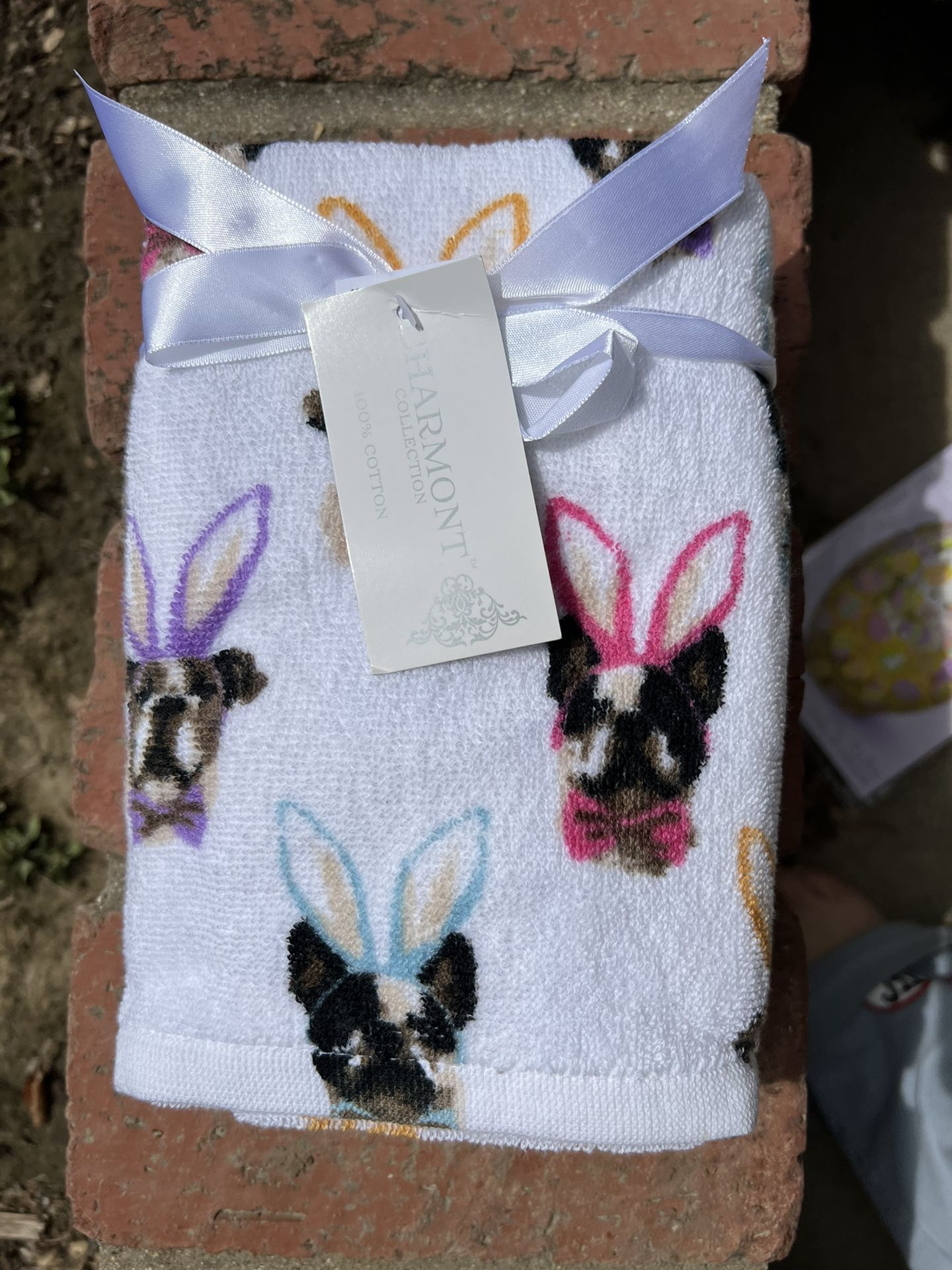 Easter Hand Towels Set of 2
