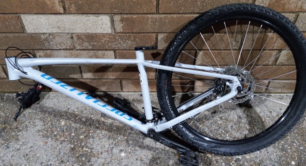 Specialized