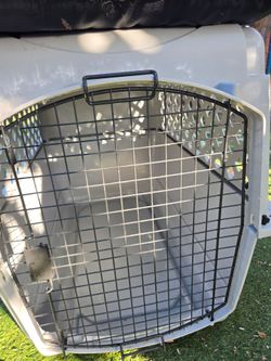 Large Plastic Dog Travel Crate