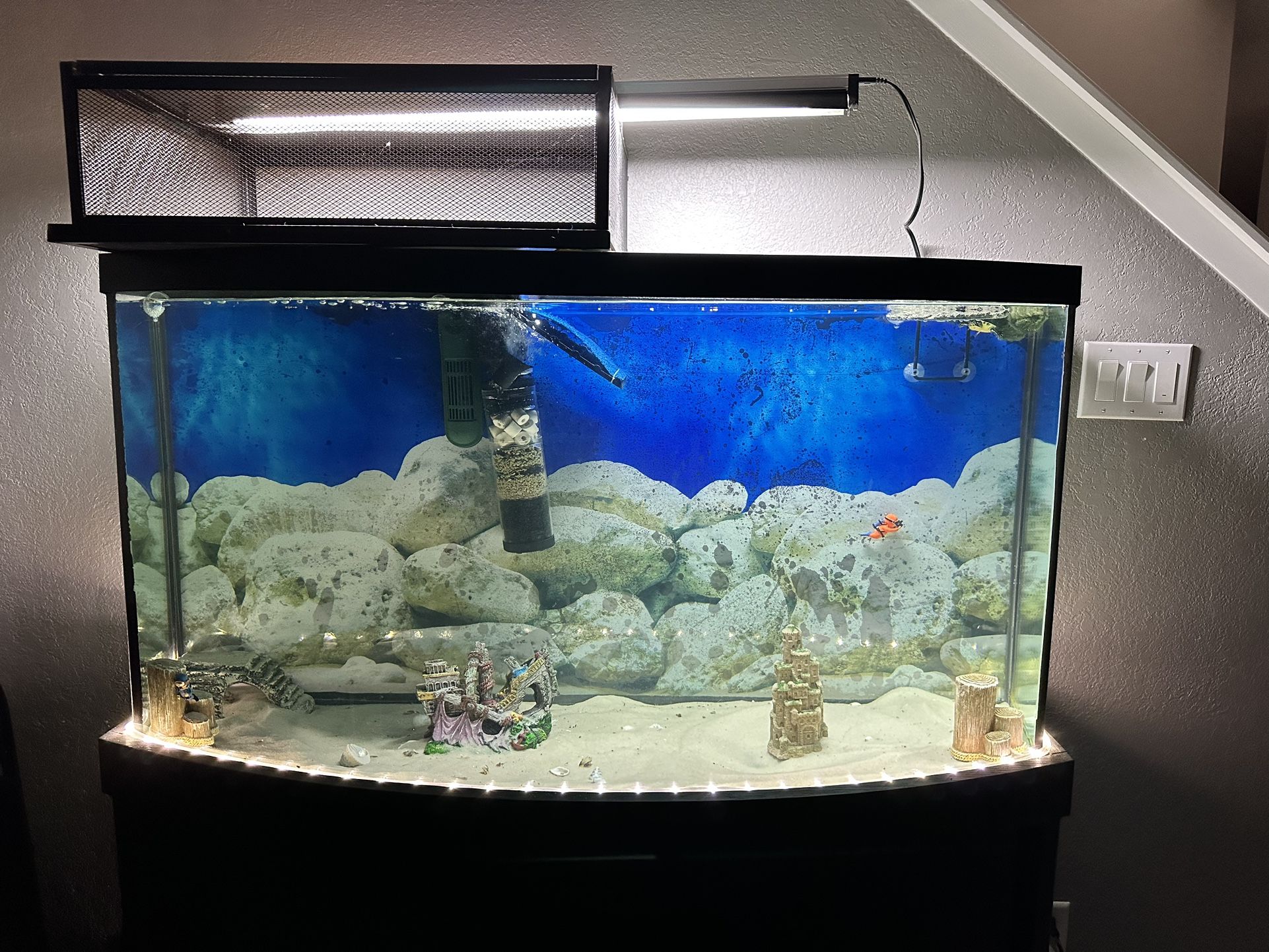 HUGE 200 Gallon Curved Fish Tank!! Full Set Up!! Fast Sale