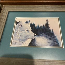 Collection Of  3 Picture Frames Art Wild Life,wolves  $5 Each 
